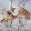 Sandhill Cranes - Watercolor Paintings - By Soon  Y Warren, Realism Painting Artist